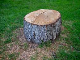 Best Firewood Processing and Delivery  in La Conner, WA