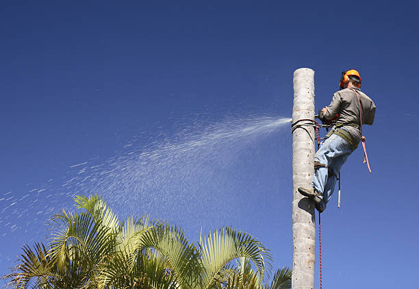 Best Pest Control for Lawns  in La Conner, WA