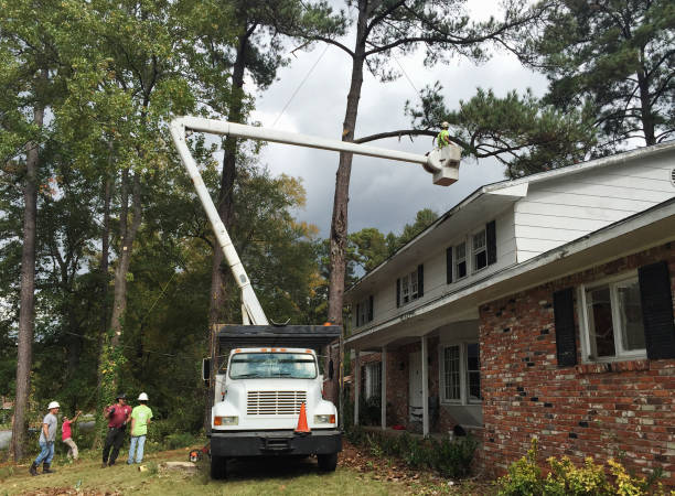 Best Storm Damage Tree Cleanup  in La Conner, WA